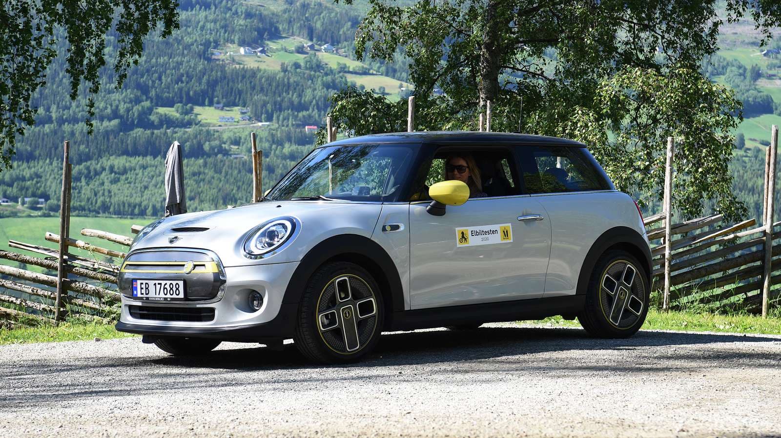 Mini Cooper SE i sommerlandskap